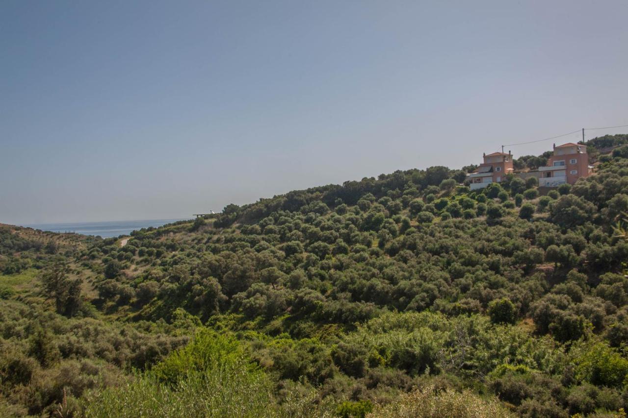 Apartment Hillside Seaview
