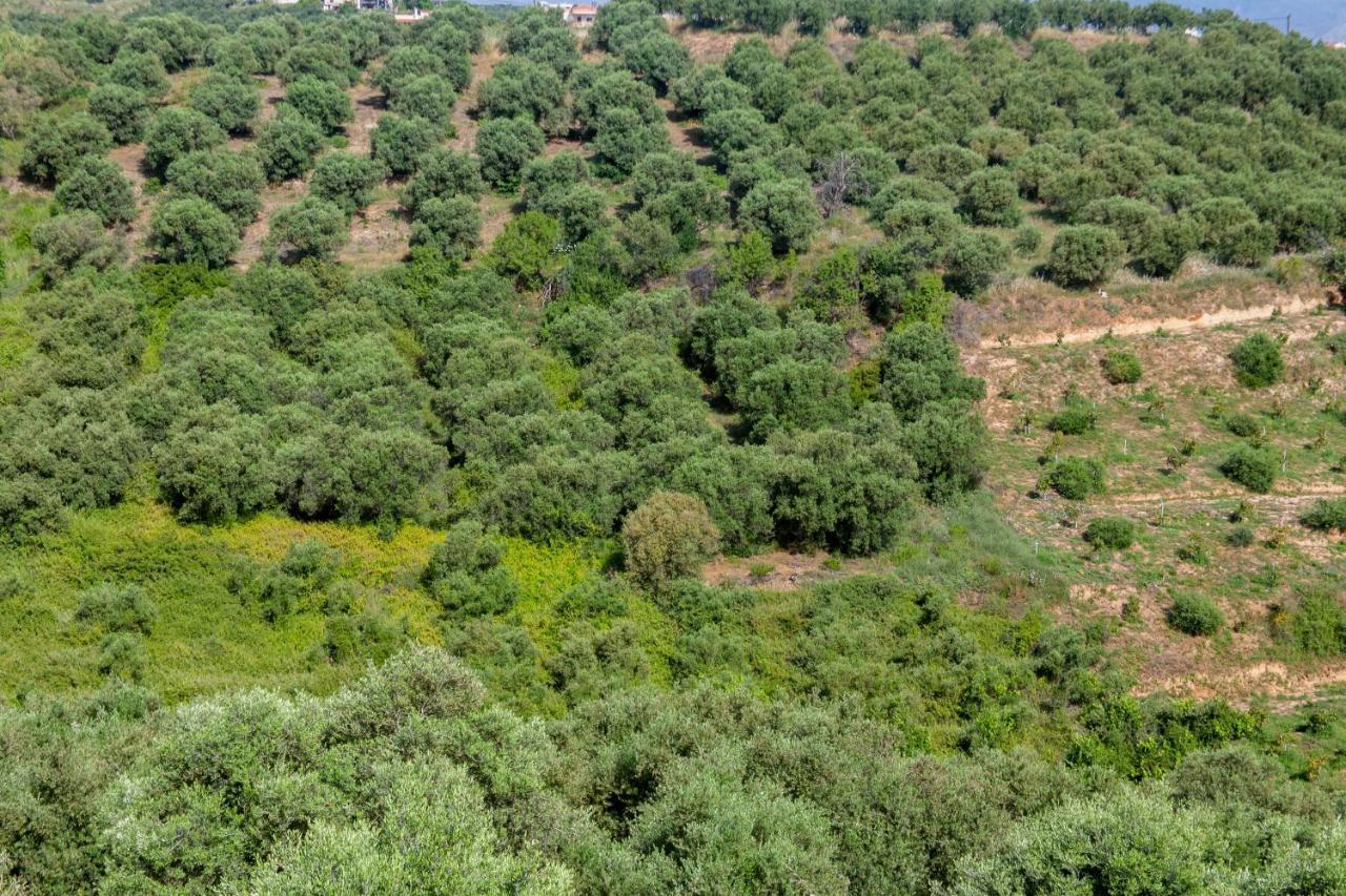Hillside Seaview * Stalós